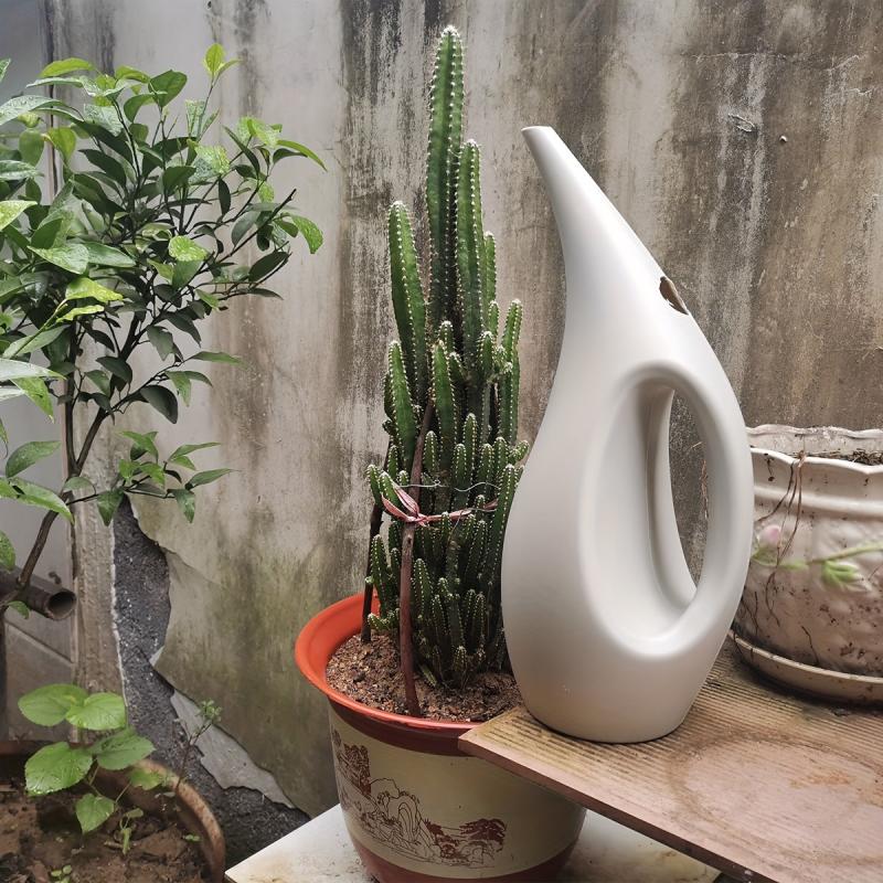 Long Spout Watering Pot Garden Tools Flower Watering