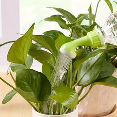 2pcs Bottle Top Waterers Sprayers for Plants Watering Succulents