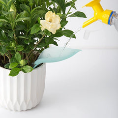 Leaf Shaped Plant Pot Watering Set for Indoor & Outdoor Bonsai Decoration