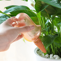 Automatic Flower Watering Device Bird Irrigation