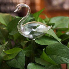 Automatic Flower Watering Device Self Watering Stakes Plant Glass Waterer