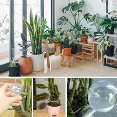 1pc Automatic Plant Watering Bulbs Self Watering Plastic Balls Garden Water Can