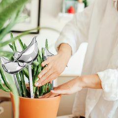 5pcs Self Watering Plant Watering Globes Automatic Flower Watering