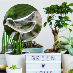 5pcs Self Watering Plant Watering Globes Automatic Flower Watering