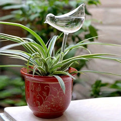 Automatic Plant Waterer Bird Shape Clear Plastic Aqua Bulbs