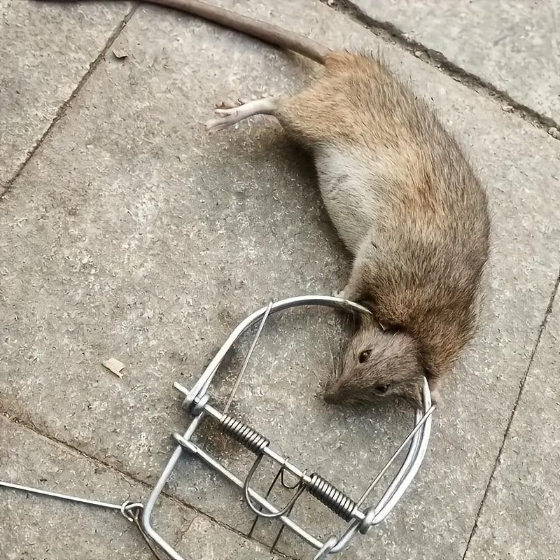 Mouse Trap Weasel Catch Spring Trapt Rodent Cage Mole Repeller Rat Trap