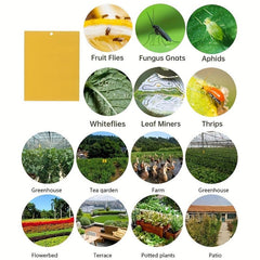 20pcs 15 Yellow Insect Trapping Boards Home Supplies