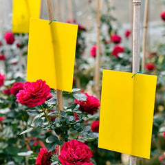 20pcs 15 Yellow Insect Trapping Boards Home Supplies