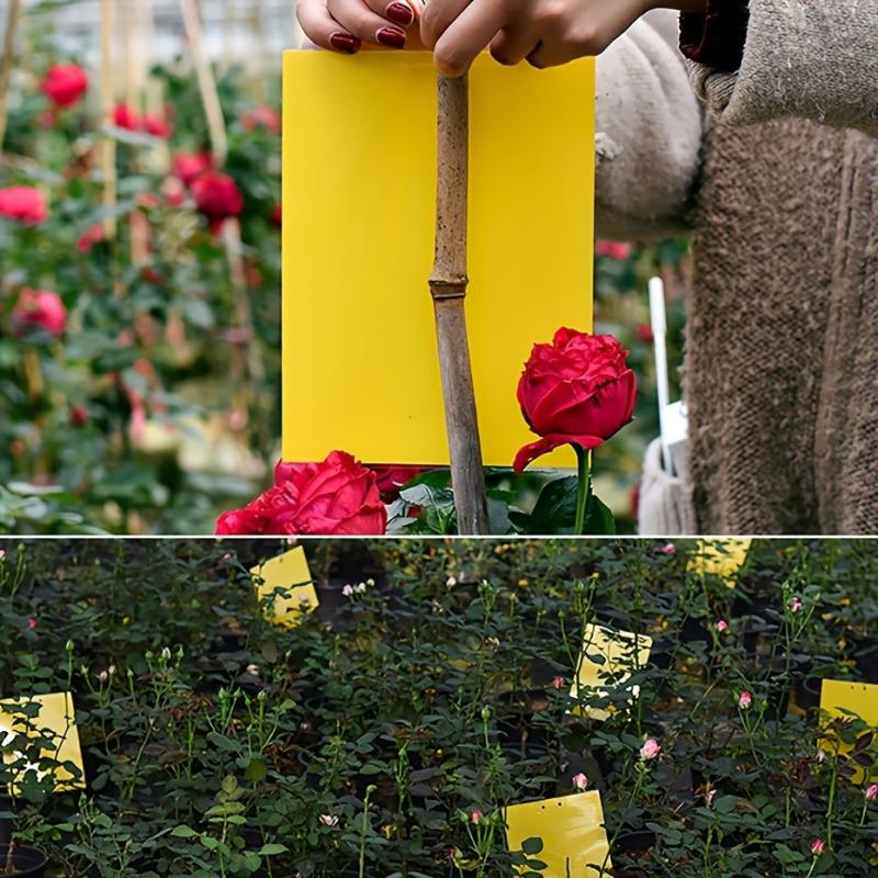 20pcs 15 Yellow Insect Trapping Boards Home Supplies