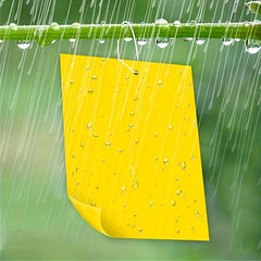 20pcs 15 Yellow Insect Trapping Boards Home Supplies