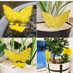 5pcs Butterfly Sticky Insect Board Yellow Fly Sticker Fruit Fly Trap
