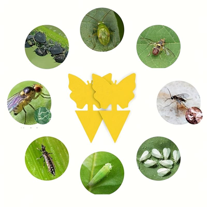 5pcs Butterfly Sticky Insect Board Yellow Fly Sticker Fruit Fly Trap
