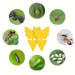 5pcs Butterfly Sticky Insect Board Yellow Fly Sticker Fruit Fly Trap