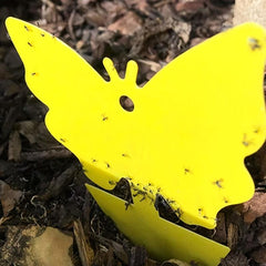 5pcs Butterfly Sticky Insect Board Yellow Fly Sticker Fruit Fly Trap
