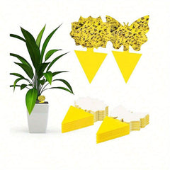5pcs Butterfly Sticky Insect Board Yellow Fly Sticker Fruit Fly Trap