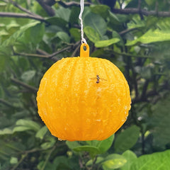 Pumpkin Shaped Fly Trap Ball - Catch Flies Instantly
