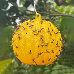 Pumpkin Shaped Fly Trap Ball - Catch Flies Instantly