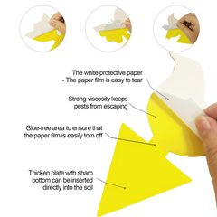 10pcs Fungus Gnat Killer Yellow Sticky Insect Traps Indoor Outdoor