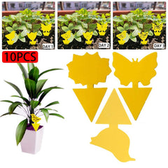 10pcs Fungus Gnat Killer Yellow Sticky Insect Traps Indoor Outdoor