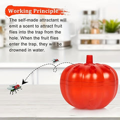 Gnat Killer Indoor Trap Catcher for Kitchen Home Fruit Fly Traps Indoors Pest