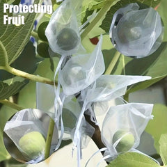 20pcs Garden Netting Bags Protect Fruits & Vegetables from Pests