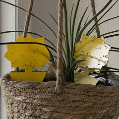 20pcs Double Sided Sticky Insect Trap Yellow Plate Pest Trap