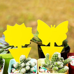 10pcs Armyworm Board Double Sided Yellow Insect Butterfly Flower Armyworm Board