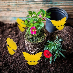 10pcs Armyworm Board Double Sided Yellow Insect Butterfly Flower Armyworm Board