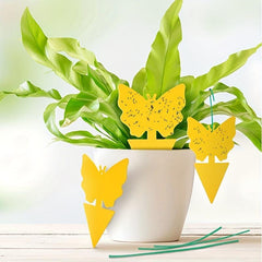 10pcs Armyworm Board Double Sided Yellow Insect Butterfly Flower Armyworm Board