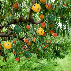 8pcs Hanging Pumpkin Shape Fly Trap Pest Repeller Sticky Trap