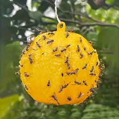 8pcs Hanging Pumpkin Shape Fly Trap Pest Repeller Sticky Trap
