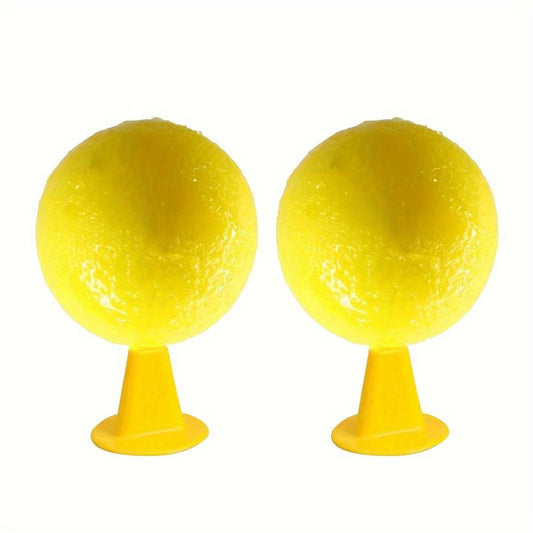2pcs Fruit Fly Traps for Small Flying Insects
