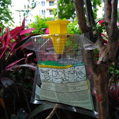 6pcs Outdoor Hanging Fly Trap Disposable Horse Ranch Fly Trap Bag