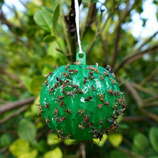 6pcs Fly Trap for Pest Control in Home Garden Farm