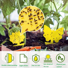 Double Sided Yellow Sticky Insect Board Fly Trap for Plants