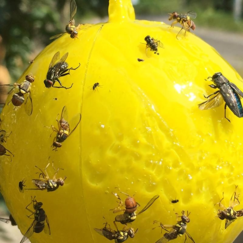 Yellow Sticky Fly Traps for Fruit Trees and Gardens