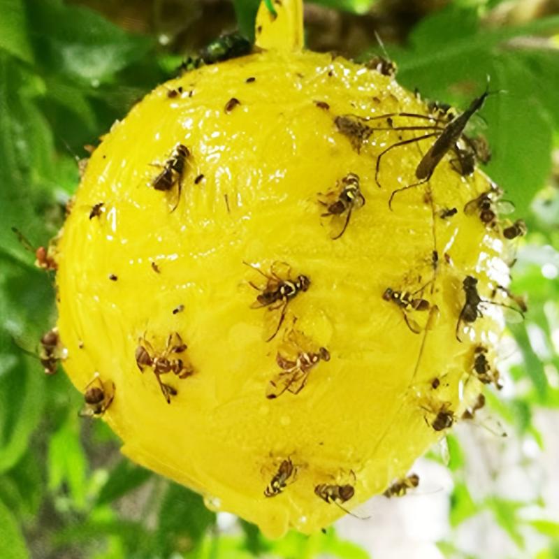 Yellow Sticky Fly Traps for Fruit Trees and Gardens