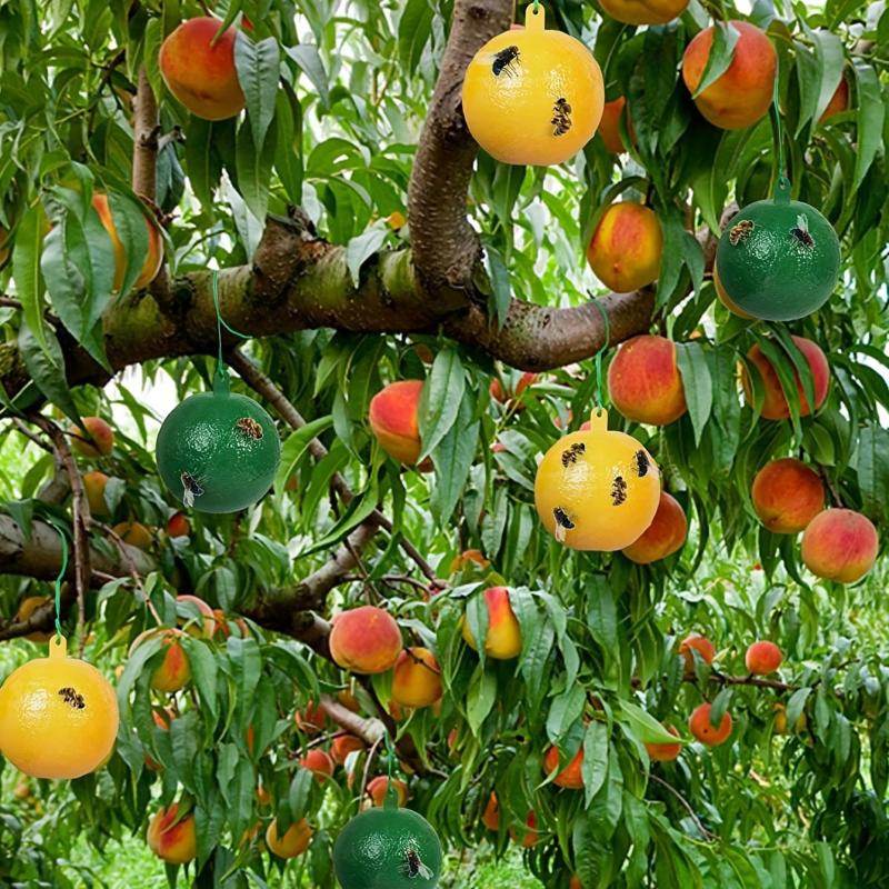 Yellow Sticky Fly Traps for Fruit Trees and Gardens