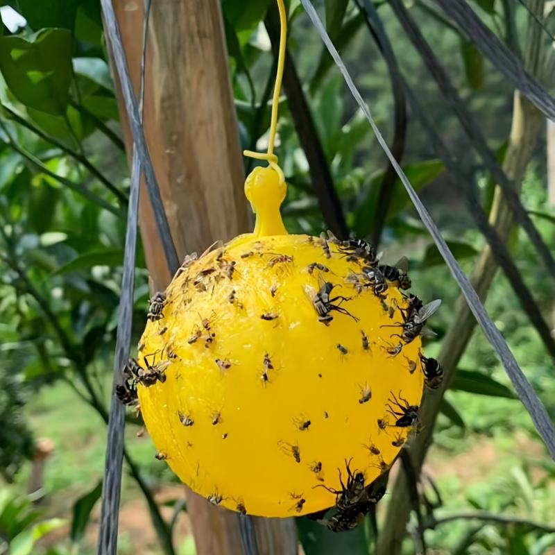 Yellow Sticky Fly Traps for Fruit Trees and Gardens