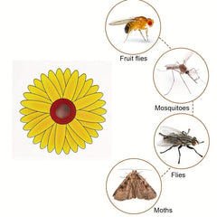 36pcs Sunflower Window Fly Traps Indoor Sticky Insect Trap