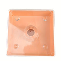 Plastic Bee Feeder for Enhanced Beekeeping