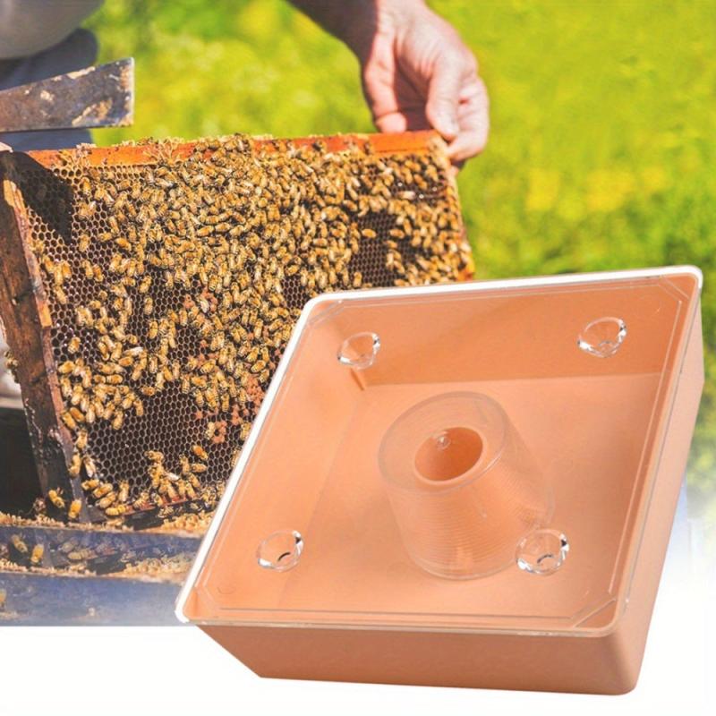 Plastic Bee Feeder for Enhanced Beekeeping