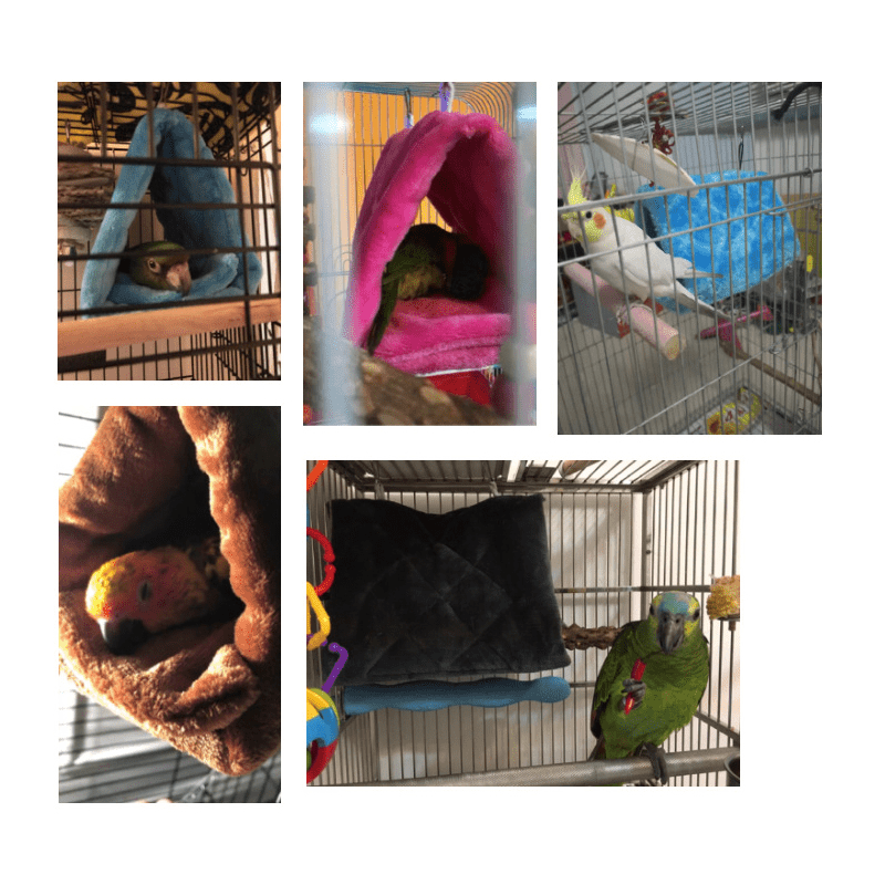 Plush Bird Hammock Snuggle Bird Cage Hanging Hut Parrot Plush Snuggle