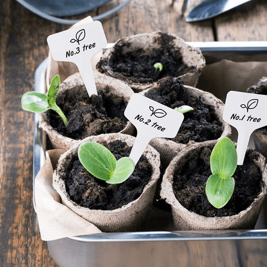 50pcs Plastic Plant T Type Tags Nursery Garden Labels 6