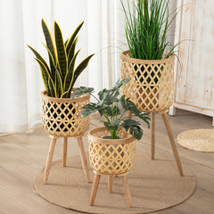 Nordic Style Flower Pots & Baskets for Elegant Living Room Decor