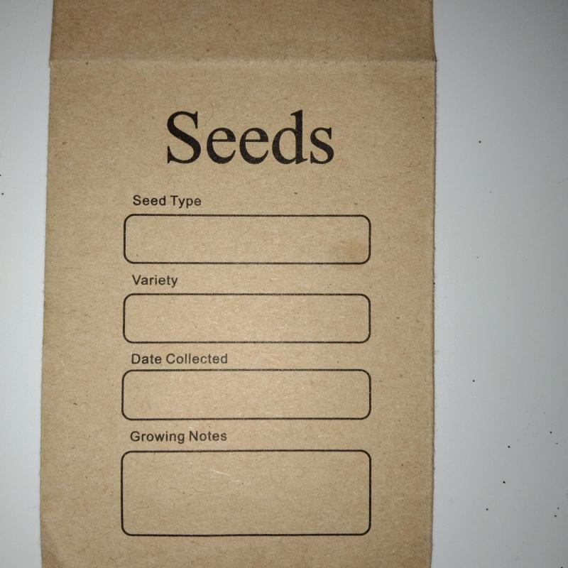20pcs Self Sealing Seed Envelope Seed Packets Seed Saving Envelopes Template