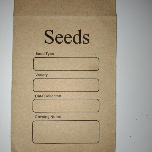 20pcs Self Sealing Seed Envelope Seed Packets Seed Saving Envelopes Template