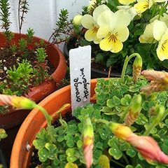 100pcs Waterproof Reusable Plant Garden Identification Tags