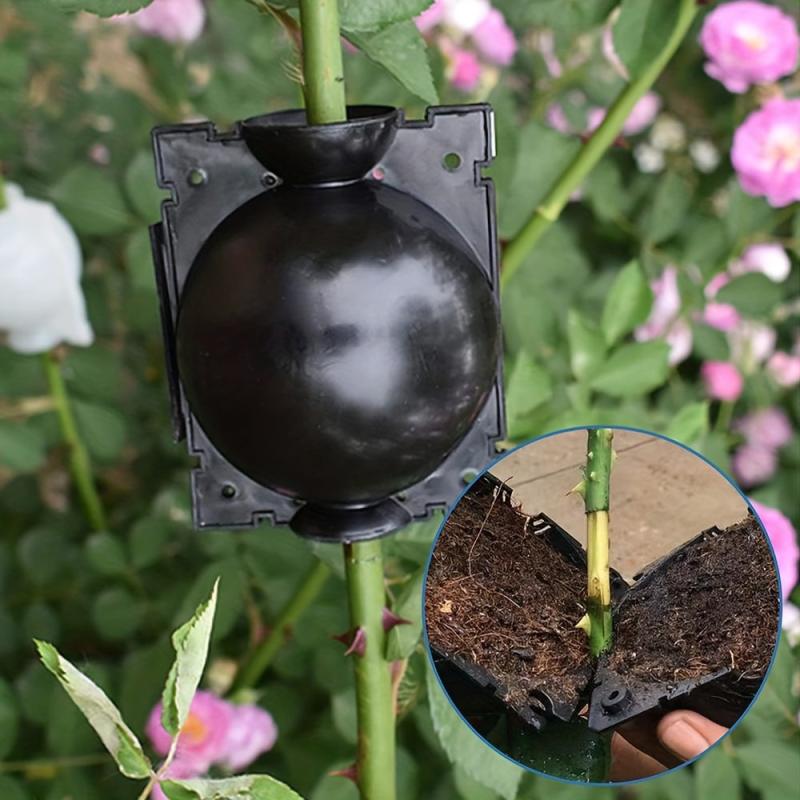 Reusable Plant Root Growth Ball for Successful Grafting