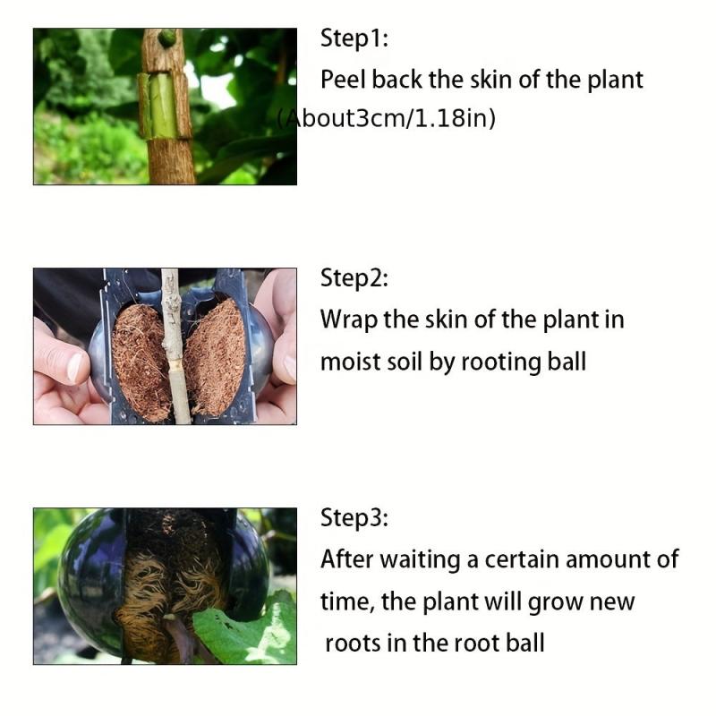 Reusable Plant Root Growth Ball for Successful Grafting